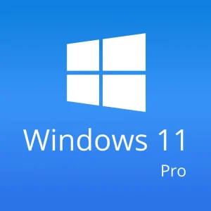 Windows 11 Professional - Windows 11 Professional