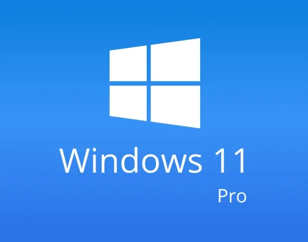 Windows 11 Professional - Windows 11 Professional