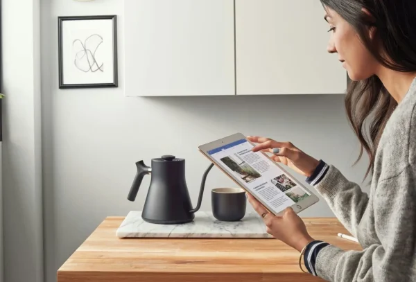 Office 2021 Home and Business for macOS - tablet compatibility