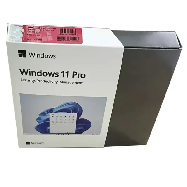 Windows 11 Professional Replace